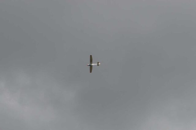 IMG_1964_klein